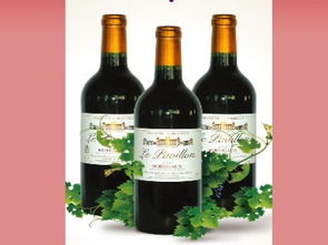 加龍酒業 資訊 最新動態 項目資訊