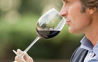 葡萄酒的三類香氣