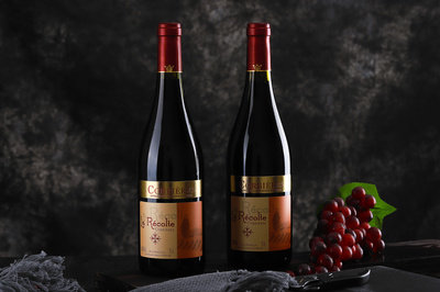 紅酒 淘寶拍攝|攝影|產品|信月軒視覺工作室 