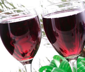 南非紅酒加盟怎么樣 南非紅酒加盟好不好